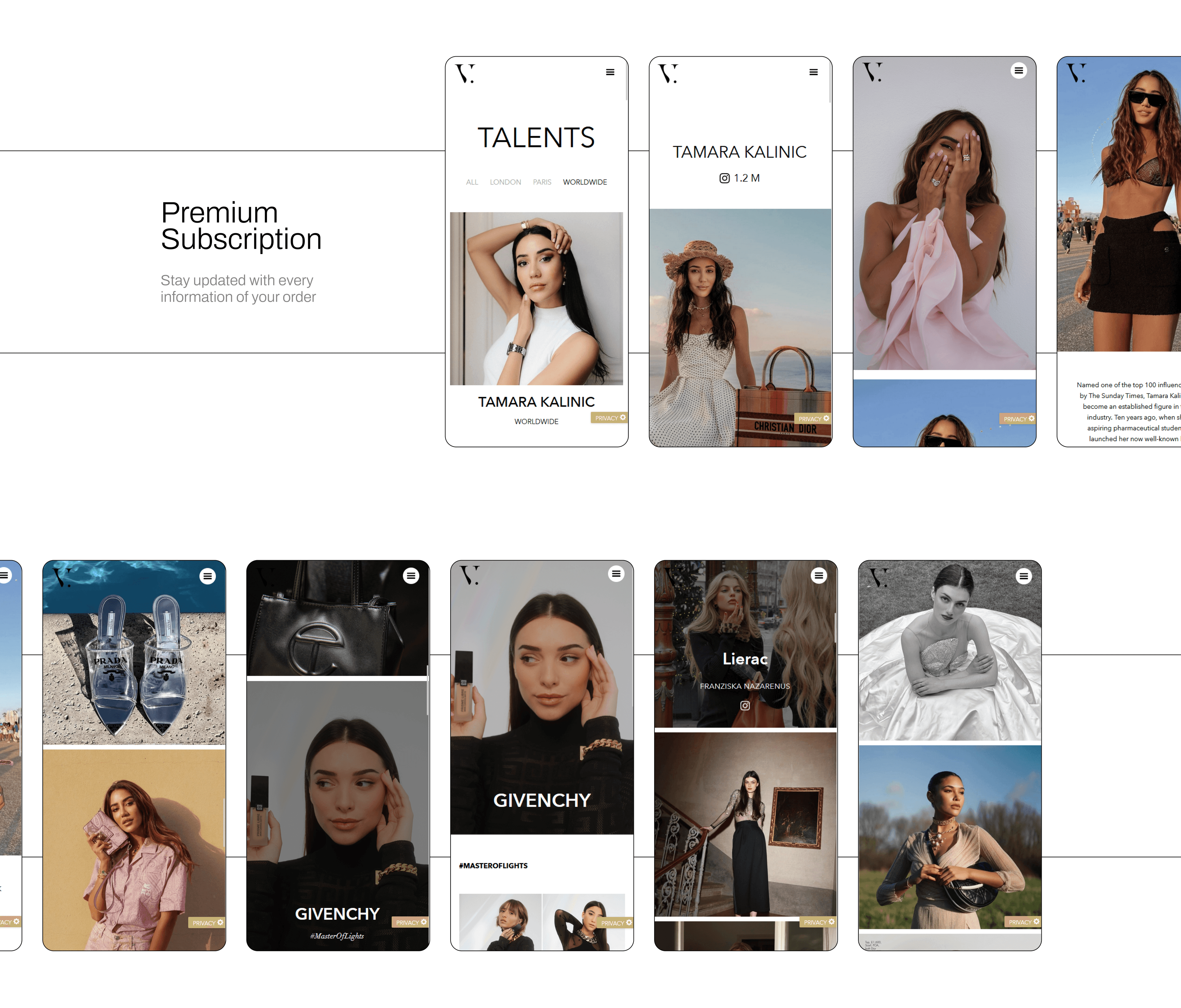 V-management - Introduction Widgets Image