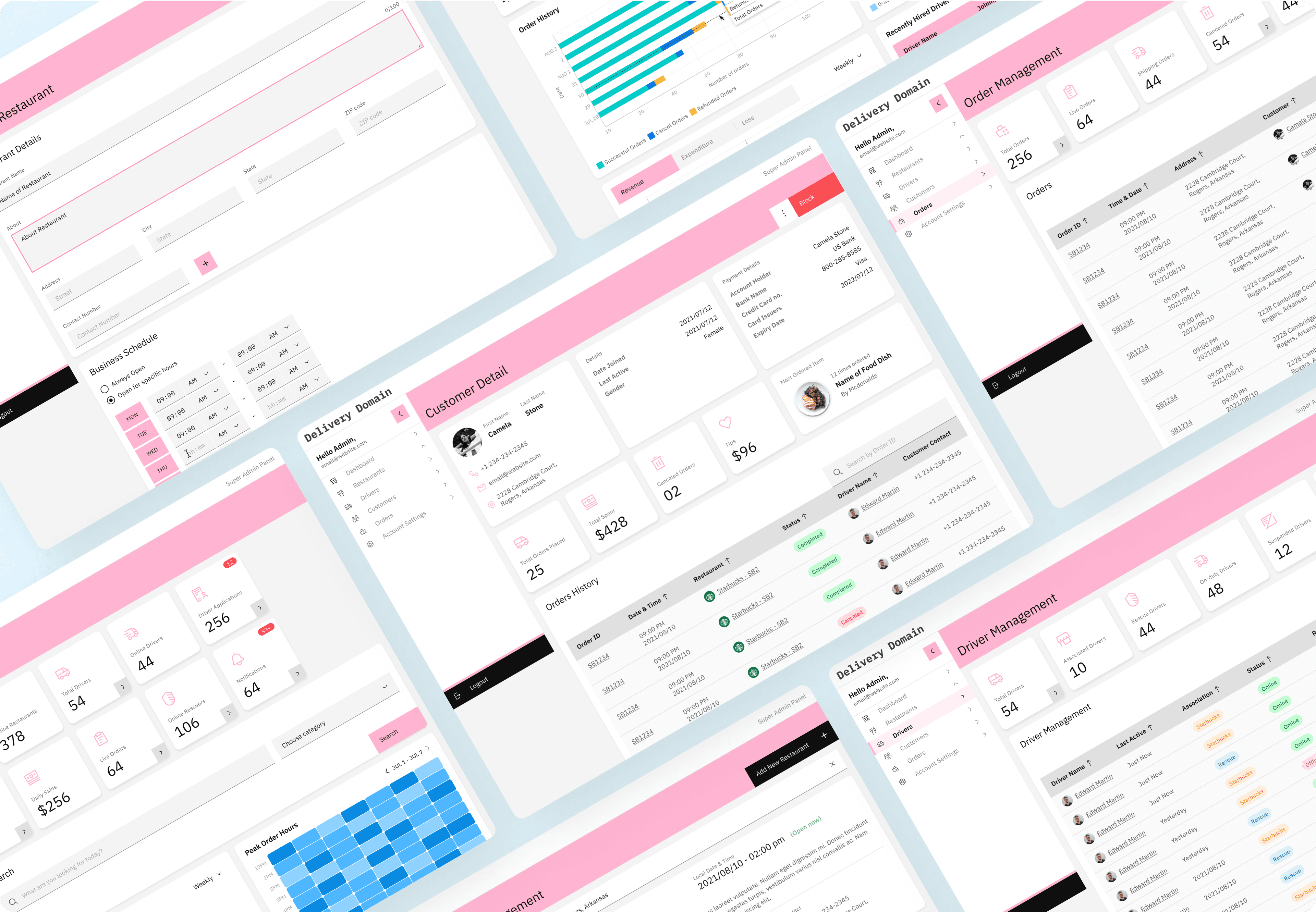 Delivery Domain - Super Admin Widget Image